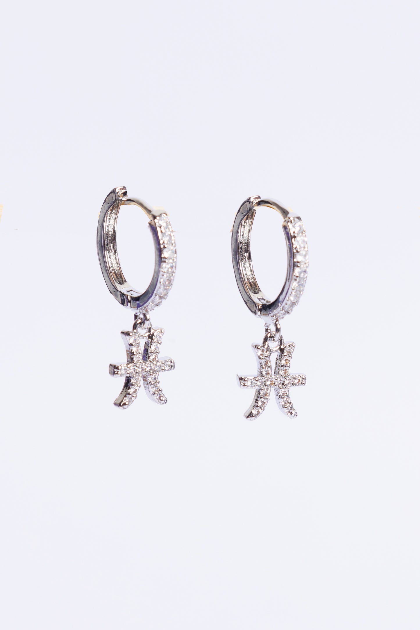 Argollas Zodiaco Silver